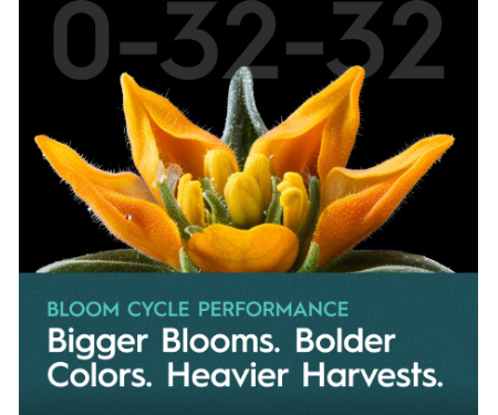 G125 30895